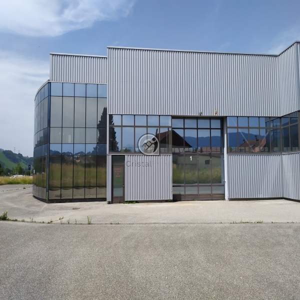 Vente Immobilier Professionnel Local d'activité Chapareillan 38530