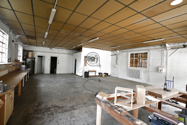Location Immobilier Professionnel Local d'activité Domène 38420